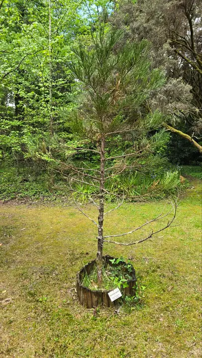 photo_2025-04-23_23-59-44 (2)