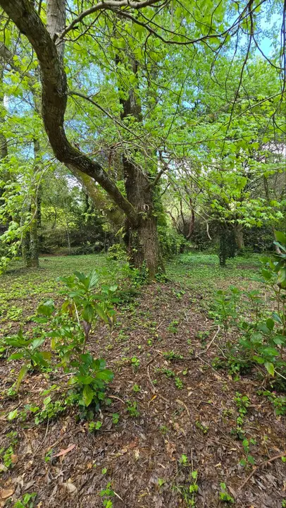 photo_2025-04-23_23-59-32