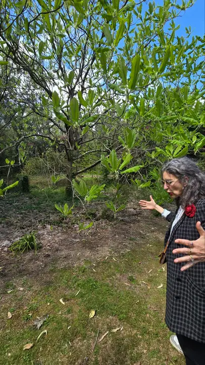 photo_2025-04-23_23-59-31 (8)