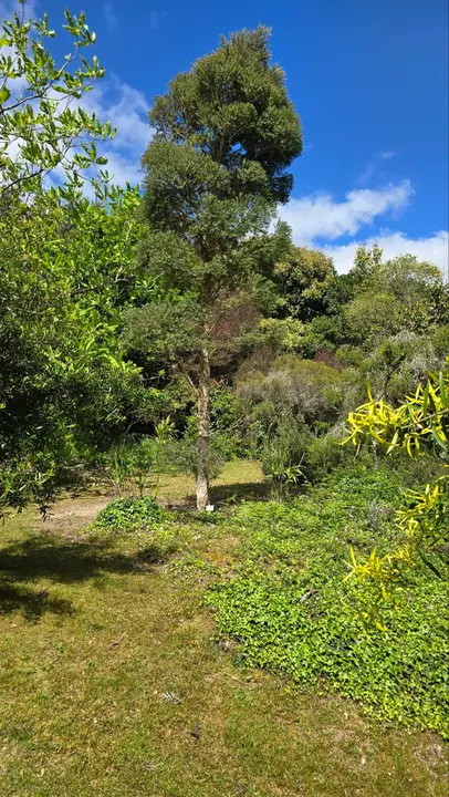 photo_2025-04-23_23-59-31 (9)