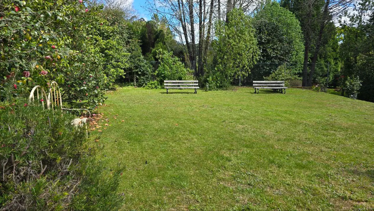 photo_2025-04-23_23-59-31 (7)