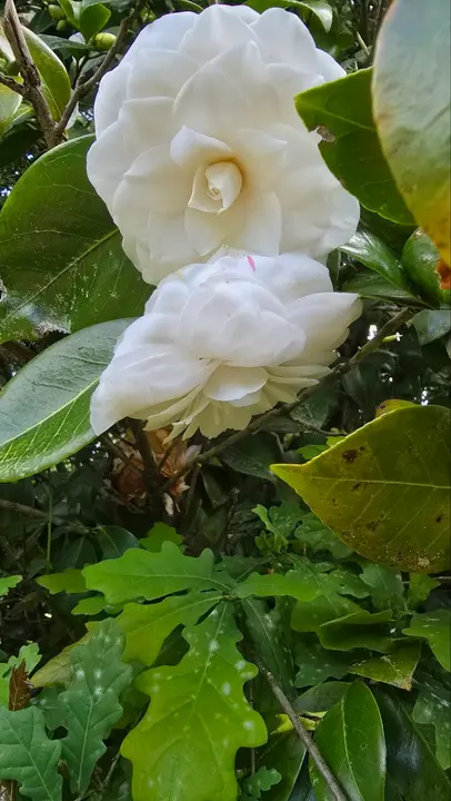 photo_2025-04-23_23-59-31 (5)