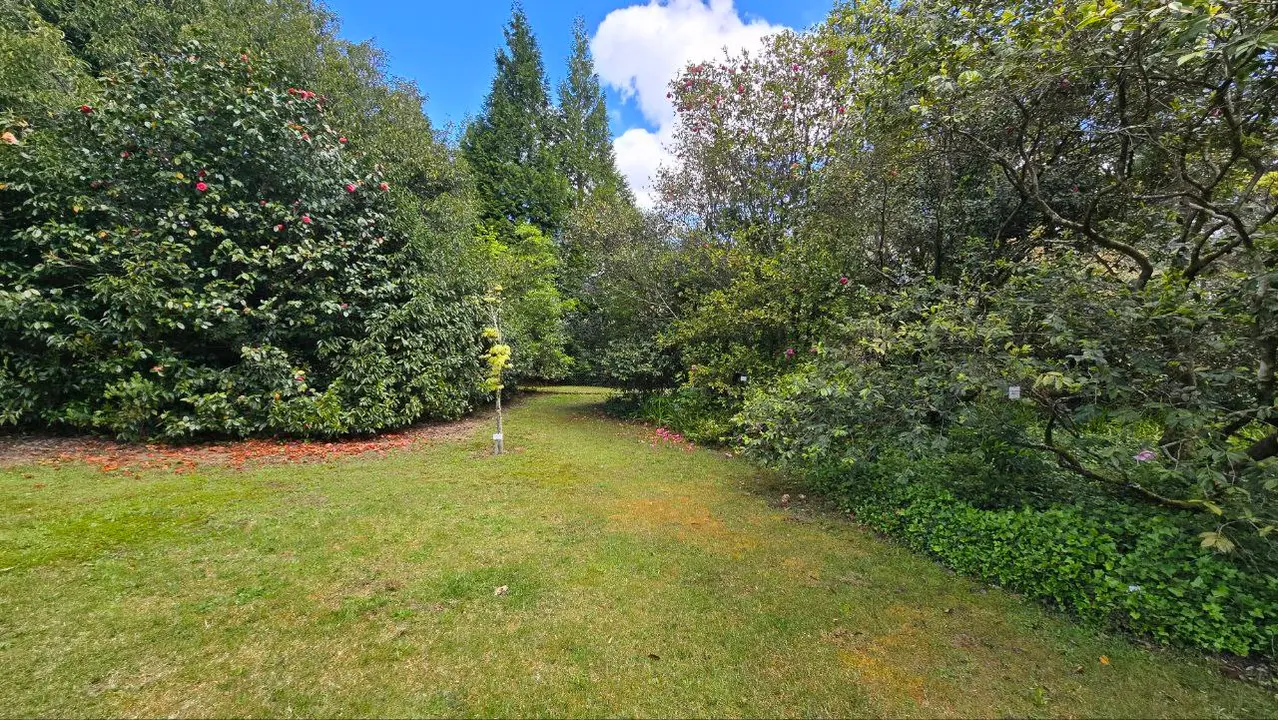 photo_2025-04-23_23-59-31 (4)