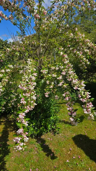 photo_2025-04-23_23-59-31 (2)