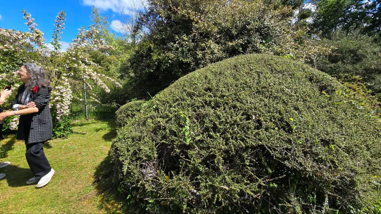 photo_2025-04-23_23-59-31