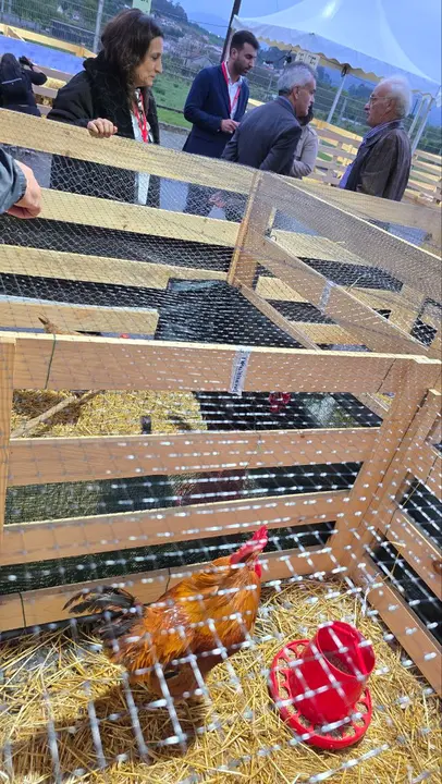 85 photo_2025-05-02_23-24-12