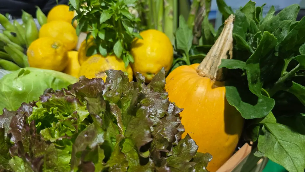 80 photo_2025-05-02_23-24-12