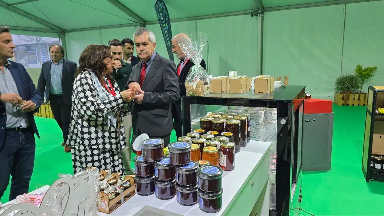 74 photo_2025-05-02_23-24-12