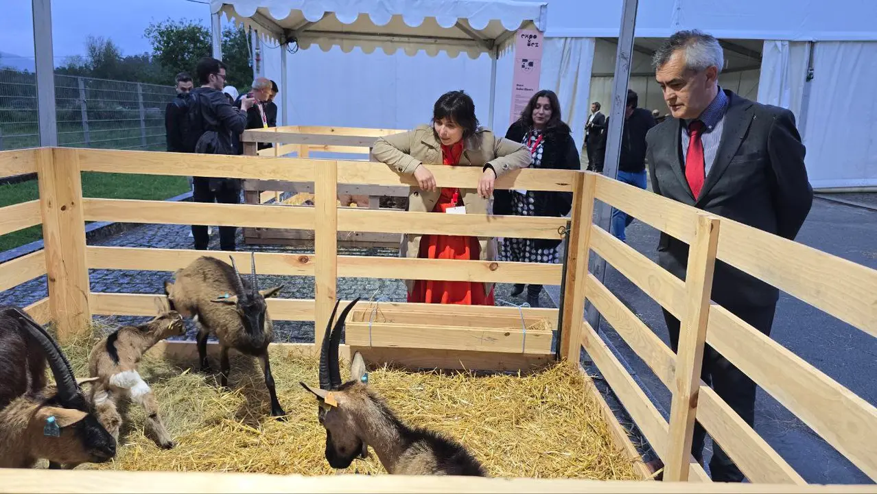 130 photo_2025-05-02_23-23-29