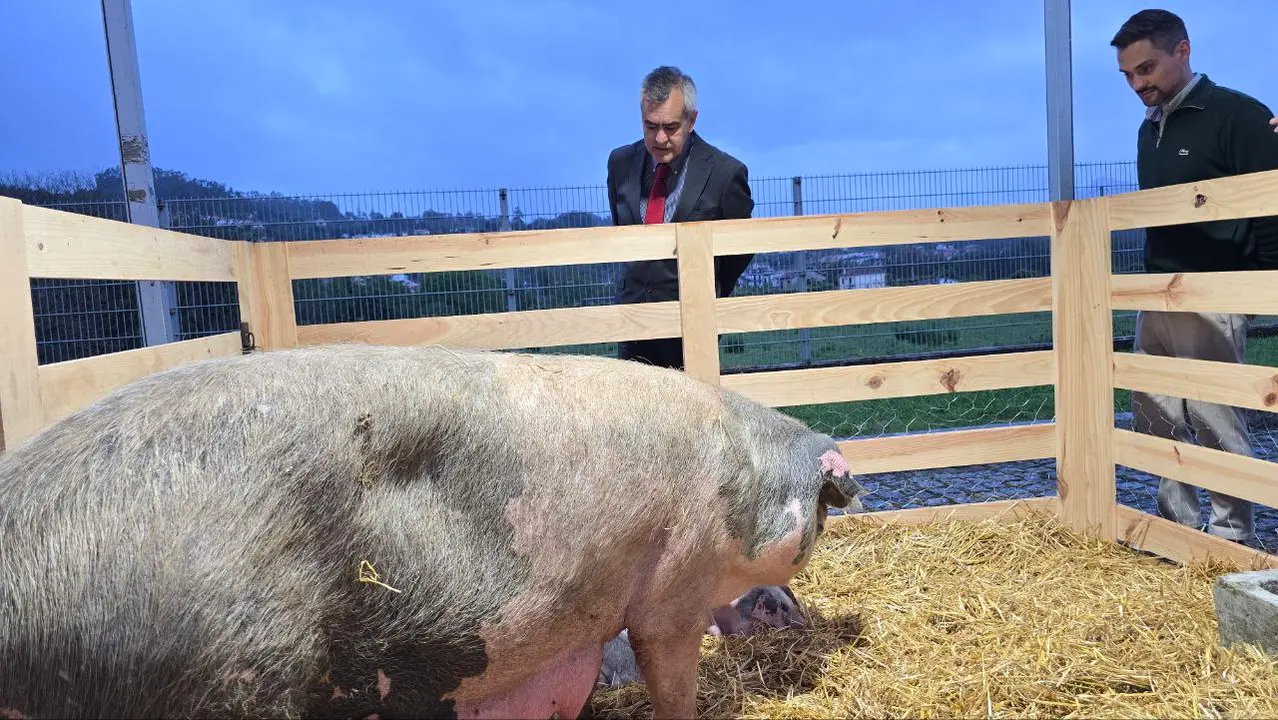 129 photo_2025-05-02_23-23-29