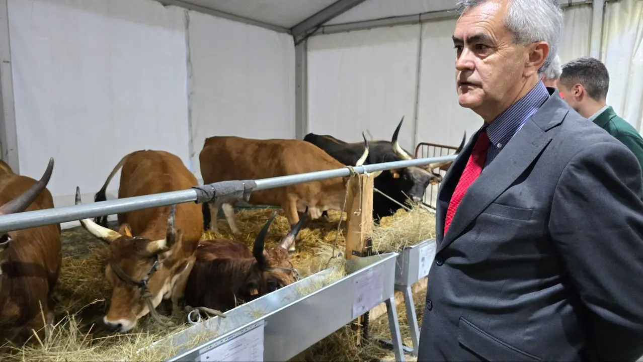 127 photo_2025-05-02_23-23-30