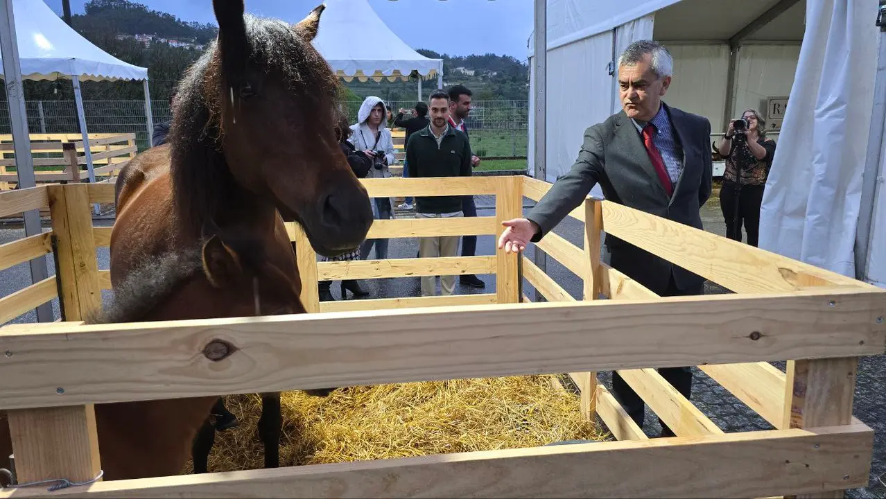 119 photo_2025-05-02_23-23-30