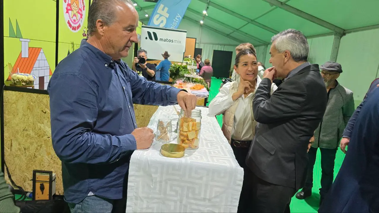 97 photo_2025-05-02_23-24-12