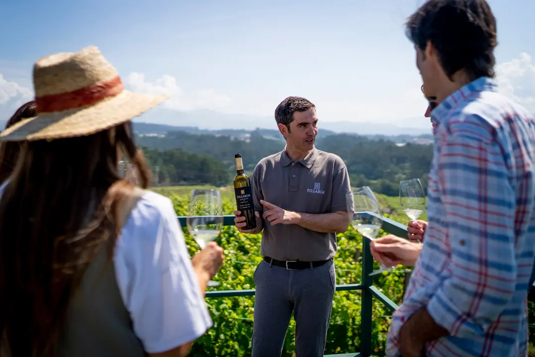 BODEGAS FILLABOA-ENOTURISMO