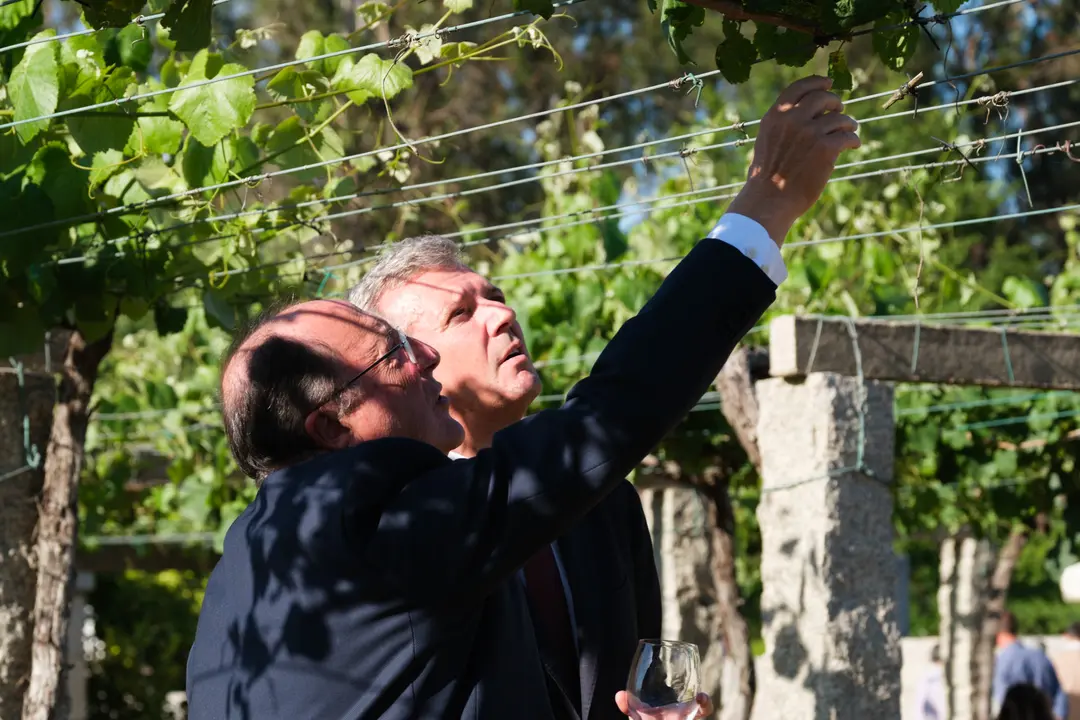 O presidente da Xunta, Alfonso Rueda, acompañado pola conselleira do Medio Rural, María José Gómez, participa na inauguración da Adega Viña Caeira. 26/05/25.