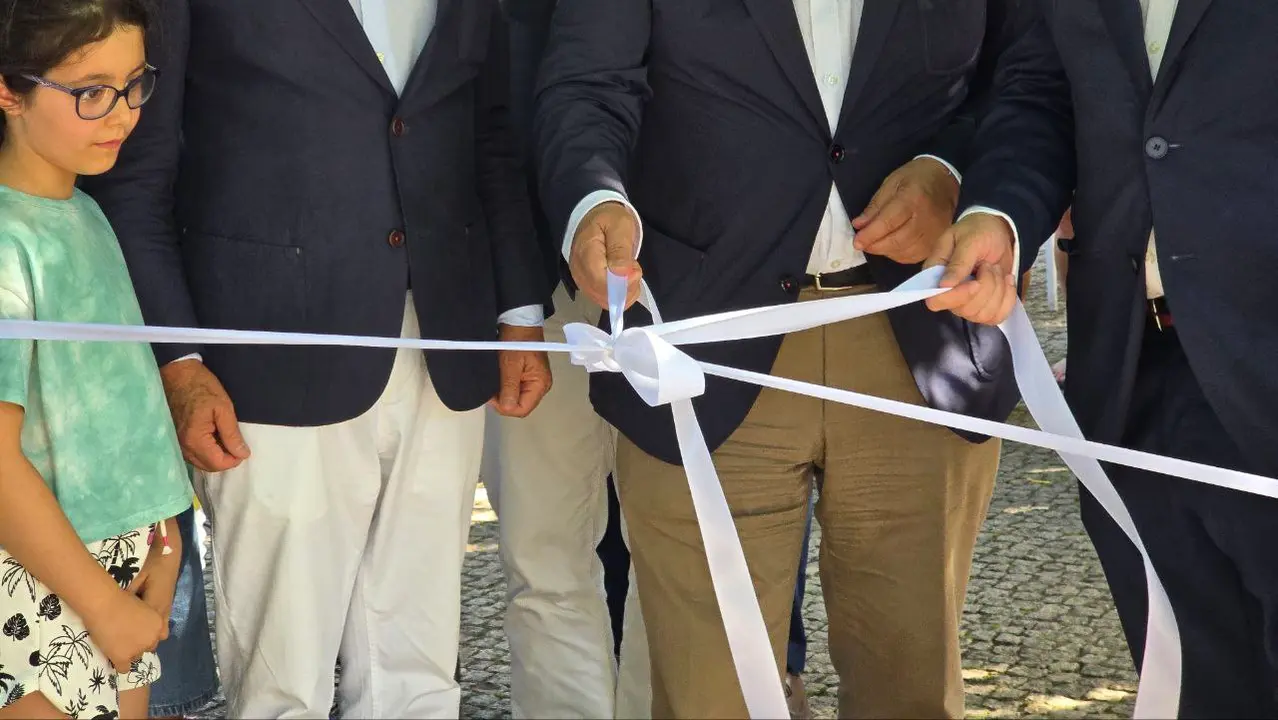 photo_2025-06-01_15-58-43 (2)