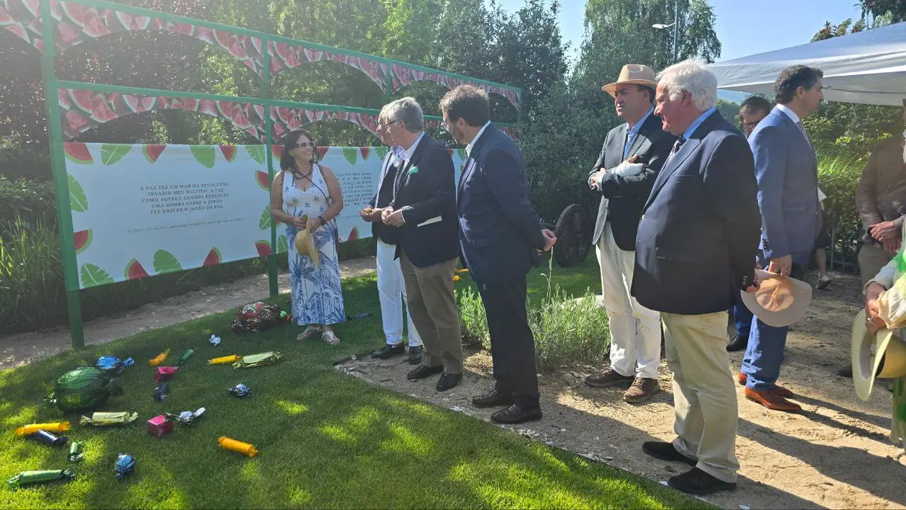 photo_2025-06-01_15-58-43 (7)