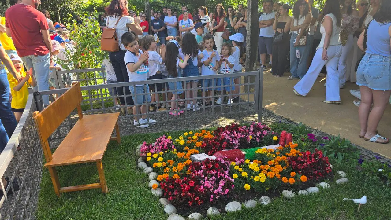 photo_2025-06-01_15-58-43 (11)