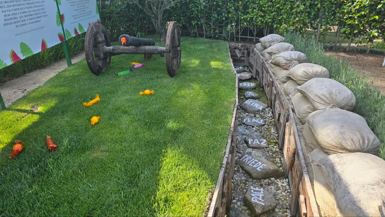 photo_2025-06-01_15-58-44