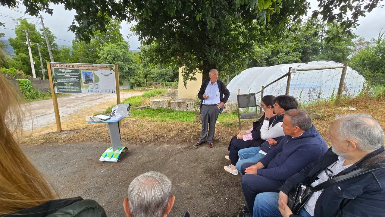 photo_2025-06-05_20-53-42 (2)