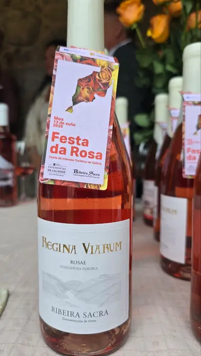 photo_2025-06-12_13-51-45 (3)