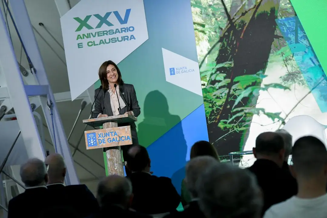 20251030 AVMProgramaCogobernanza