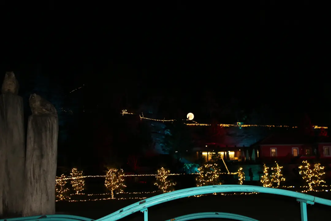 Floresta Encantada 28-22-2025 (48)