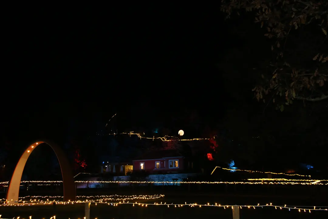 Floresta Encantada 28-22-2025 (43)