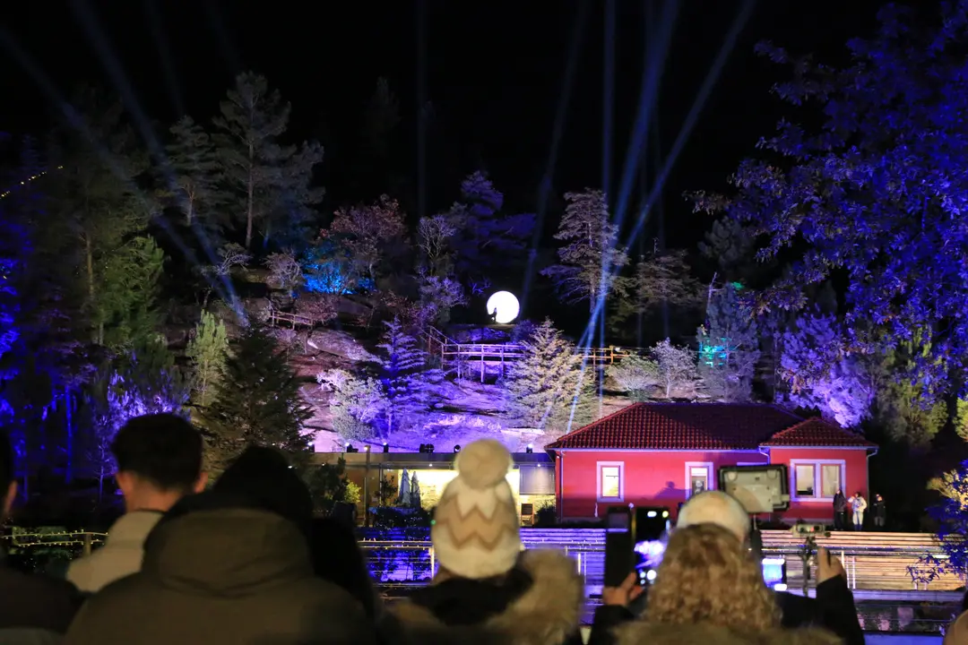 Paisaje iluminado de la Floresta Encantada, un recorrido que combina naturaleza y fantasía.