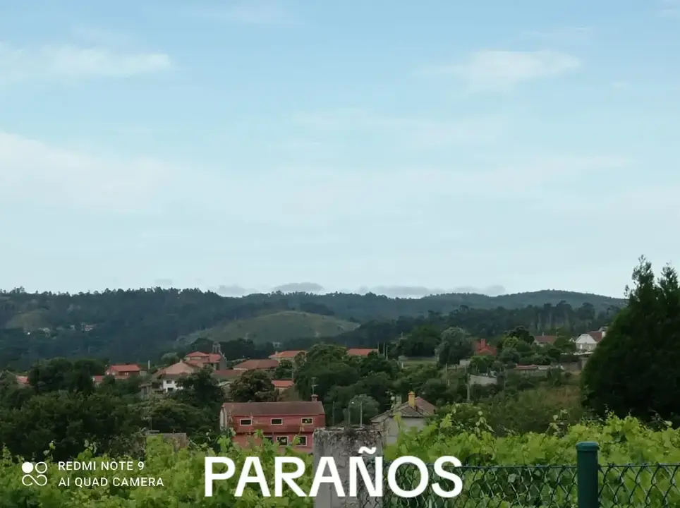 Para&ntilde;os