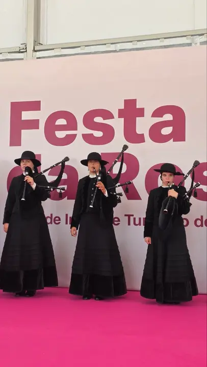 bandagaitas4