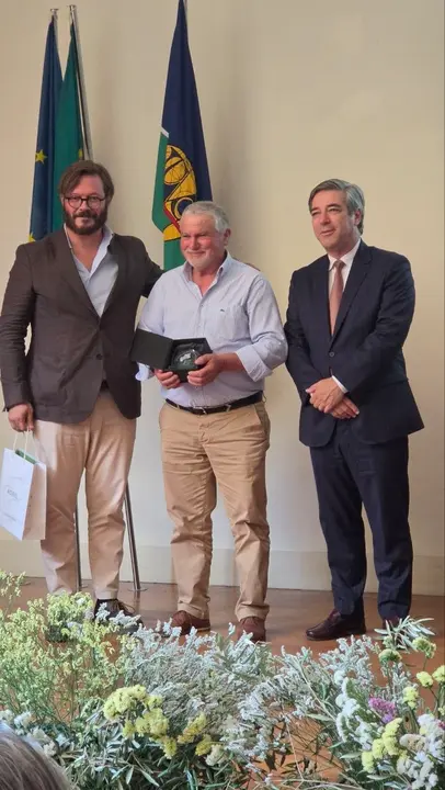 MartinhoSequeiros de Pedras Sequeiros