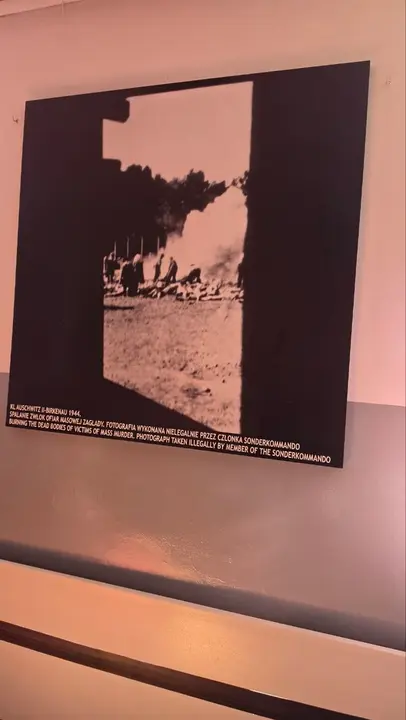 51