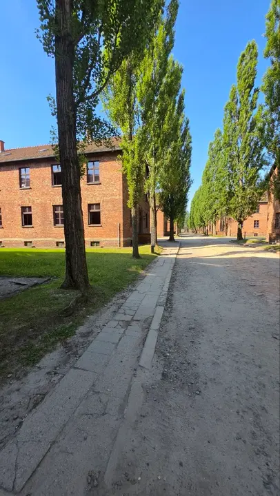 36