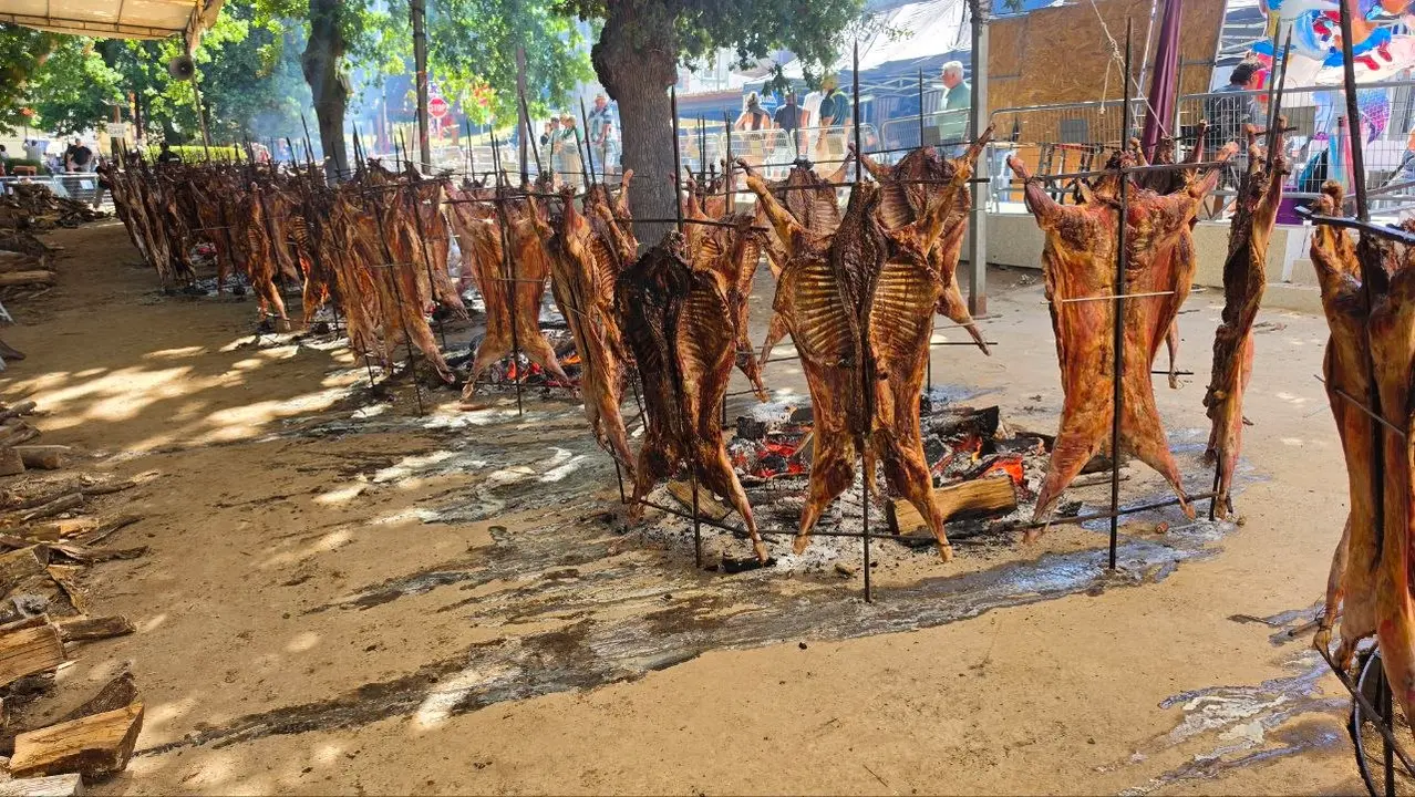 Los carneros asandose al espeto en la carballeira da Chan.