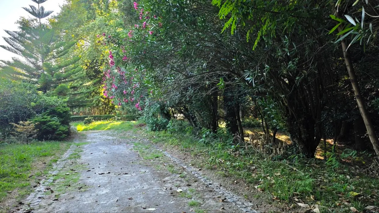 Los caminos interiores se adentran en la densa masa vegetal que a&iacute;sla la quinta del crecimiento urbano de Arcozelo