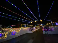 Wanda Veloz y Manuel Alonso durante el encendido navideño de su vivienda en Camposancos, que este año supera las 325.000 luces LED y se consolida como uno de los reclamos festivos más visitados de A Guarda.