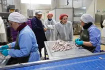 La conselleira de Econom&iacute;a e Industria, Mar&iacute;a Jes&uacute;s Lorenzana, durante su visita a la conservera Orbe, en Ponte Caldelas, donde present&oacute; la activaci&oacute;n de las principales l&iacute;neas de ayuda del Igape para 2026.