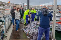 La conselleira do Mar, Marta Villaverde, durante su visita al puerto de Baiona, donde present&oacute; el plan de la Xunta para renovar los pavimentos de pantalanes y mejorar la seguridad en instalaciones flotantes de diez muelles auton&oacute;micos.
