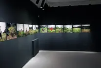 Vista parcial da exposici&oacute;n Espantallos 2012-2025, de Manuel Send&oacute;n, na Fundaci&oacute;n Laxeiro, onde o artista revisita en secuencias fotogr&aacute;ficas a evoluci&oacute;n no tempo dos espantap&aacute;xaros do rural galego.