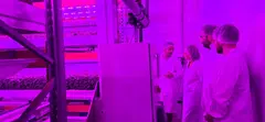 armen Cotelo visita las instalaciones de N&eacute;boda Farms en Vigo, donde conoce los sistemas de cultivo vertical y tecnolog&iacute;as de agricultura en ambiente controlado.