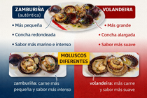 Infograf&iacute;a DL-G.