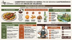 Departamento de Infograf&iacute;a DL-G.