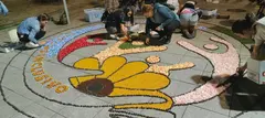 Integrantes de entidades sociales participan en la elaboraci&oacute;n de una alfombra floral solidaria inspirada en la lucha contra el c&aacute;ncer de mama, dentro de una iniciativa impulsada por los alfombristas del Corpus de Ponteareas.