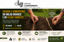 Departamento de Infograf&iacute;a DL-G