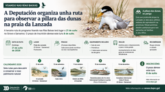 Departamento de Infograf&iacute;a DL-G.