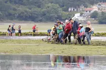 Mariscadoras de la Cofrad&iacute;a de Arcade realizan las labores de regeneraci&oacute;n y preengorde de la ostra plana europea en el r&iacute;o Alvedosas, dentro del proyecto Ostreares impulsado por la Xunta para recuperar los bancos naturales de este bivalvo en la r&iacute;a de Vigo.
