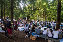 A veci&ntilde;anza de Queimadelos comparte unha multitudinaria merenda popular baixo o hist&oacute;rico Carballo da Armada, despois da celebraci&oacute;n das Pascuillas.