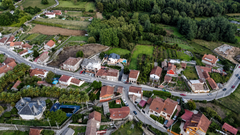 angoaresavistadepaxaro