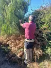 Personal del Parque Nacional durante los trabajos de recogida de material vegetal, una labor que busca obtener semillas de poblaciones adaptadas a las condiciones ambientales del litoral atl&aacute;ntico.